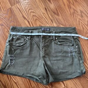 EUC, Level 99 Green Shorts, Size 31